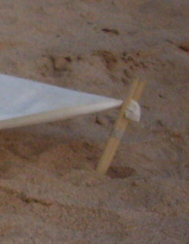 Bamboo Sarong Pegs